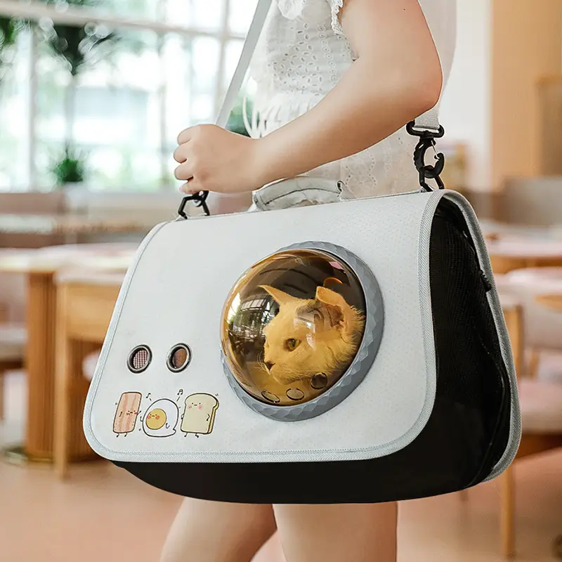 Pet Portable Cat Bag Cartoon Foldable Shoulder Bag - Image 23