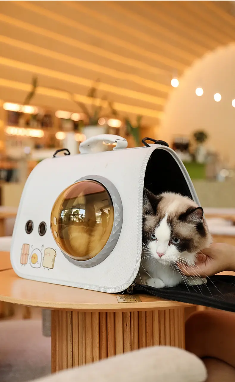 Pet Portable Cat Bag Cartoon Foldable Shoulder Bag — feature 14