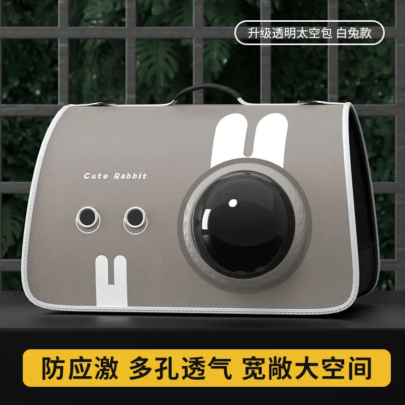 Pet Portable Cat Bag Cartoon Foldable Shoulder Bag - Image 10