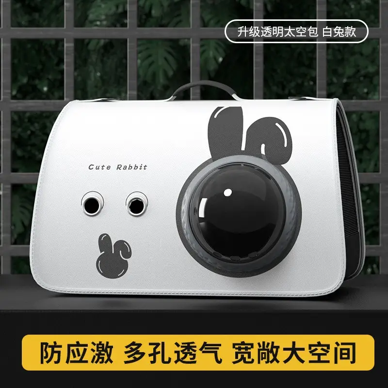 Pet Portable Cat Bag Cartoon Foldable Shoulder Bag - Image 11