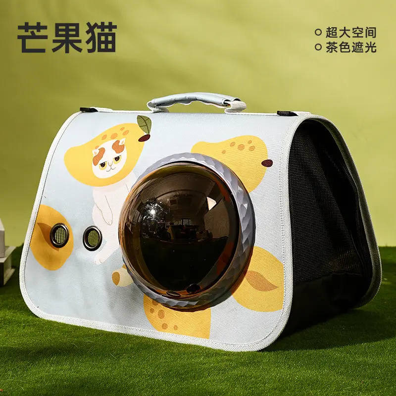Pet Portable Cat Bag Cartoon Foldable Shoulder Bag - Image 5
