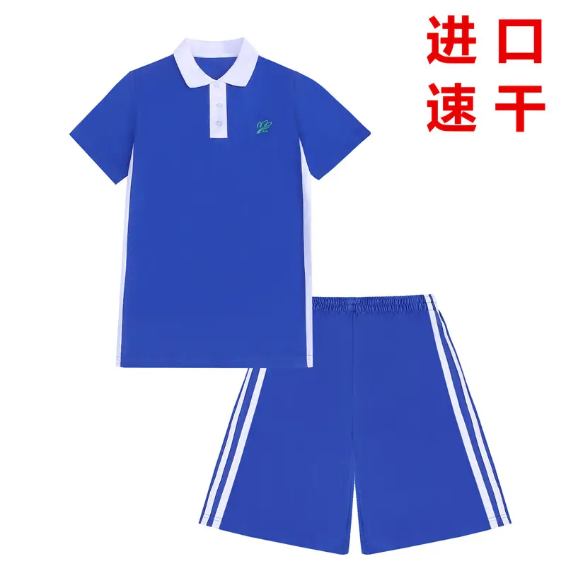 Blue Polo Track Suit for Boys Middle School Students - Image 3