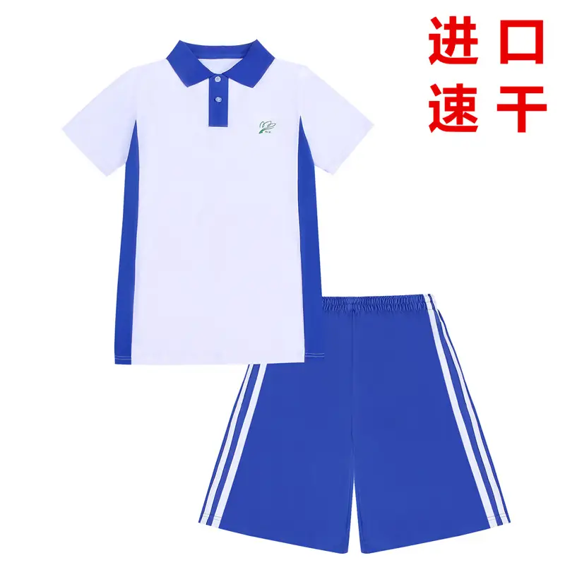 Blue Polo Track Suit for Boys Middle School Students - Image 4