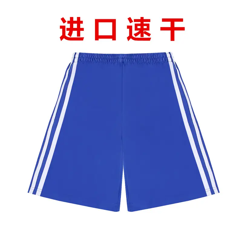 Blue Polo Track Suit for Boys Middle School Students - Image 5