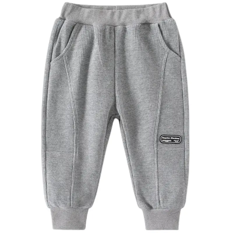 Boys Grey Sweatpants 2024 New Label Loose Elastic - Image 5