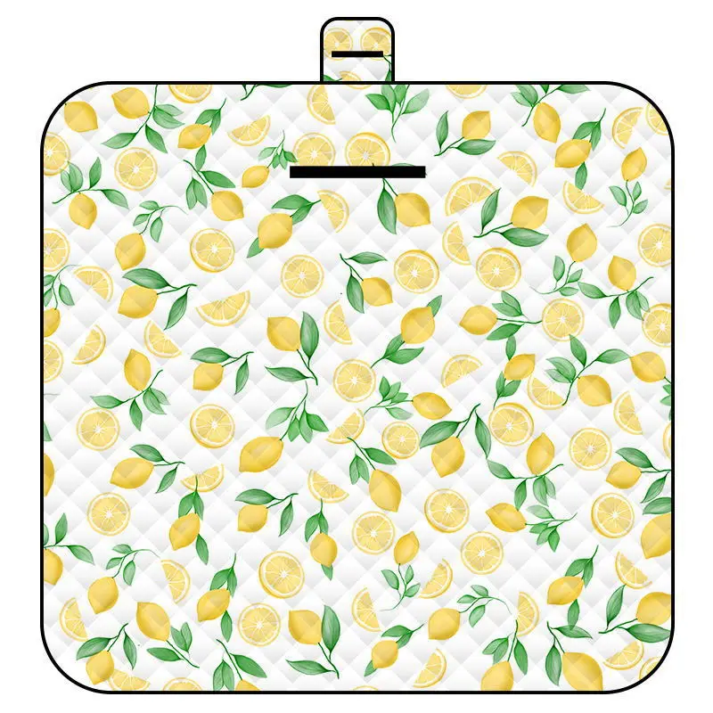 Ultrasonic Picnic Mat Waterproof Outdoor Camping Beach Mat - Image 13