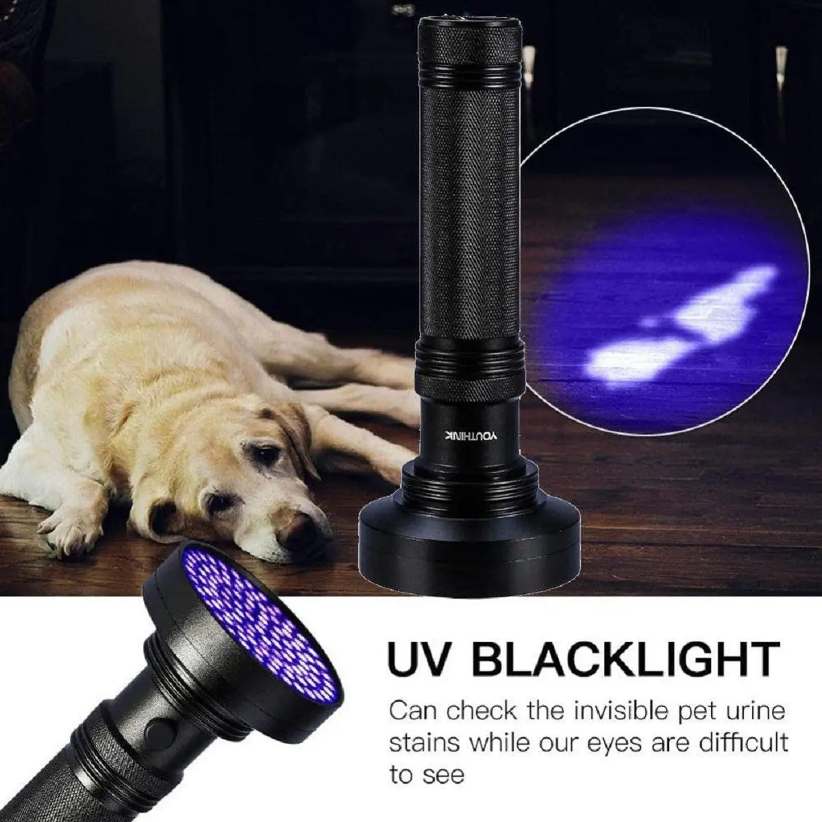 UV Blacklight Flashlight for Dogs Stair Inspection - Image 2