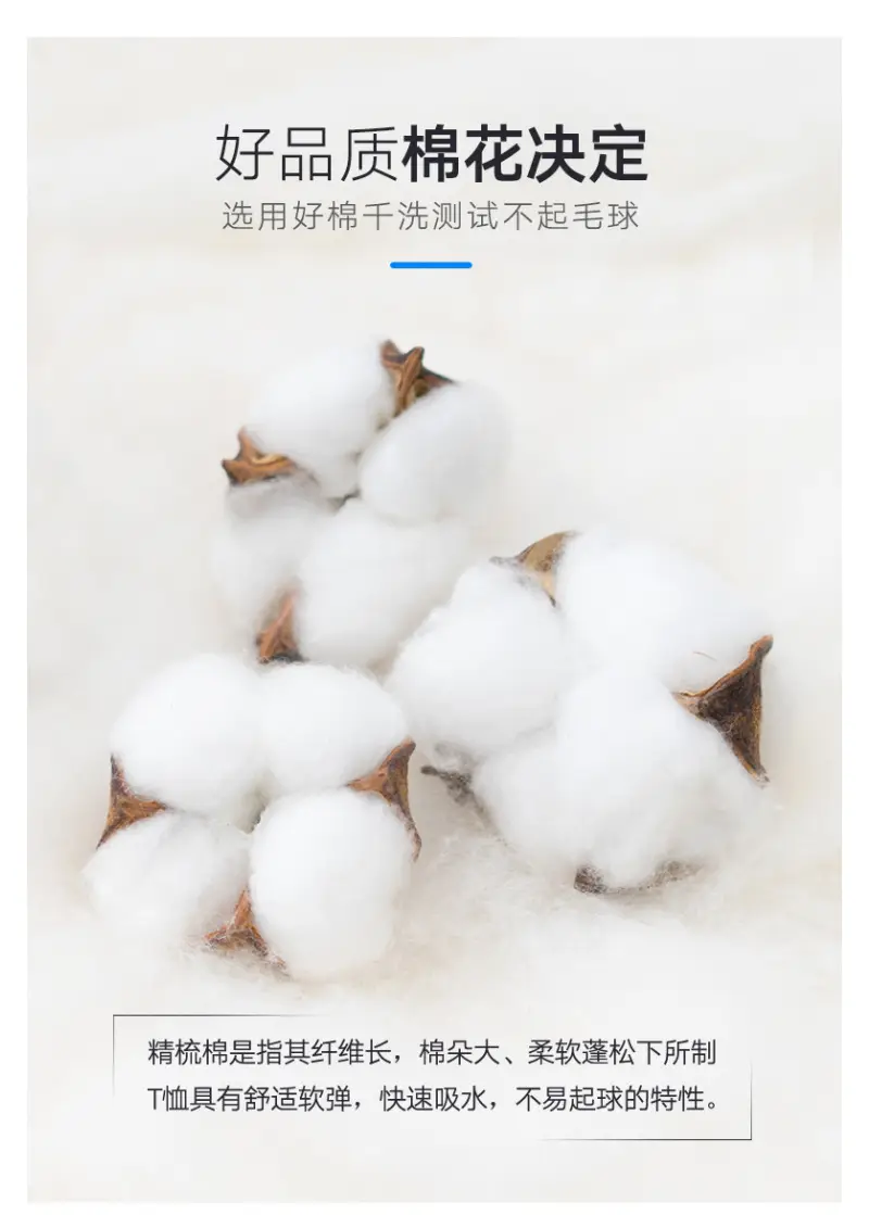 POLO长袖1_04.jpg