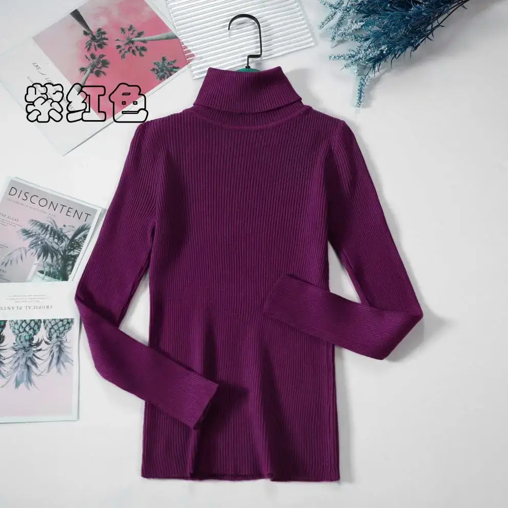 Women Purple Turtleneck Slim Fit Knitted Sweater — feature 36