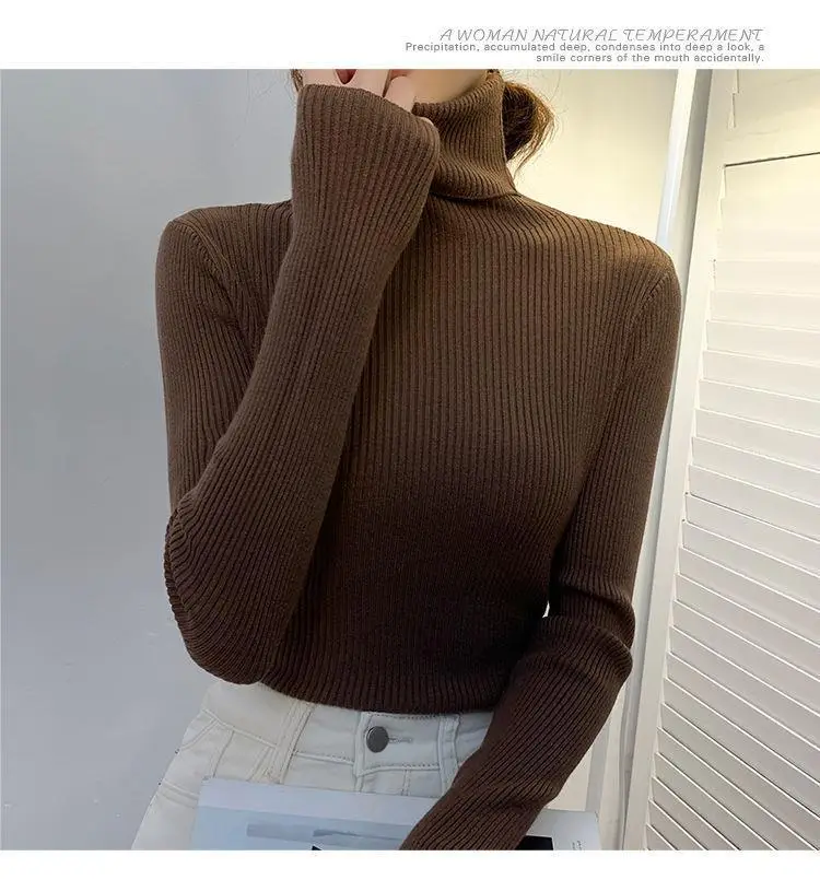 Brown Turtleneck Knitwear Women Large Winter Wear — feature 12