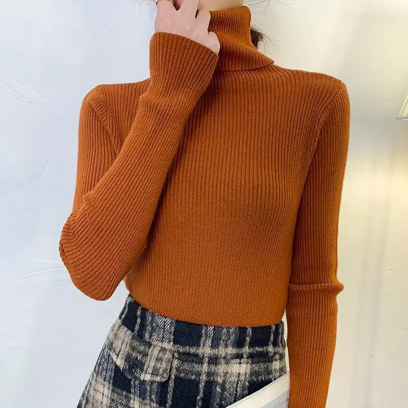 Brown Turtleneck Knitwear Women Large Winter Wear - Image 11