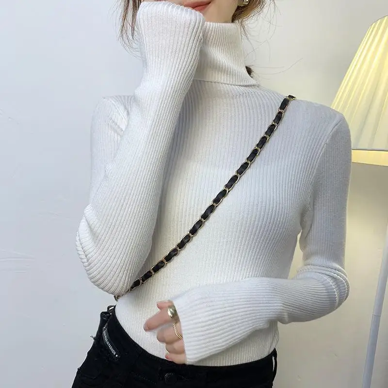 Brown Turtleneck Knitwear Women Large Winter Wear - Image 2