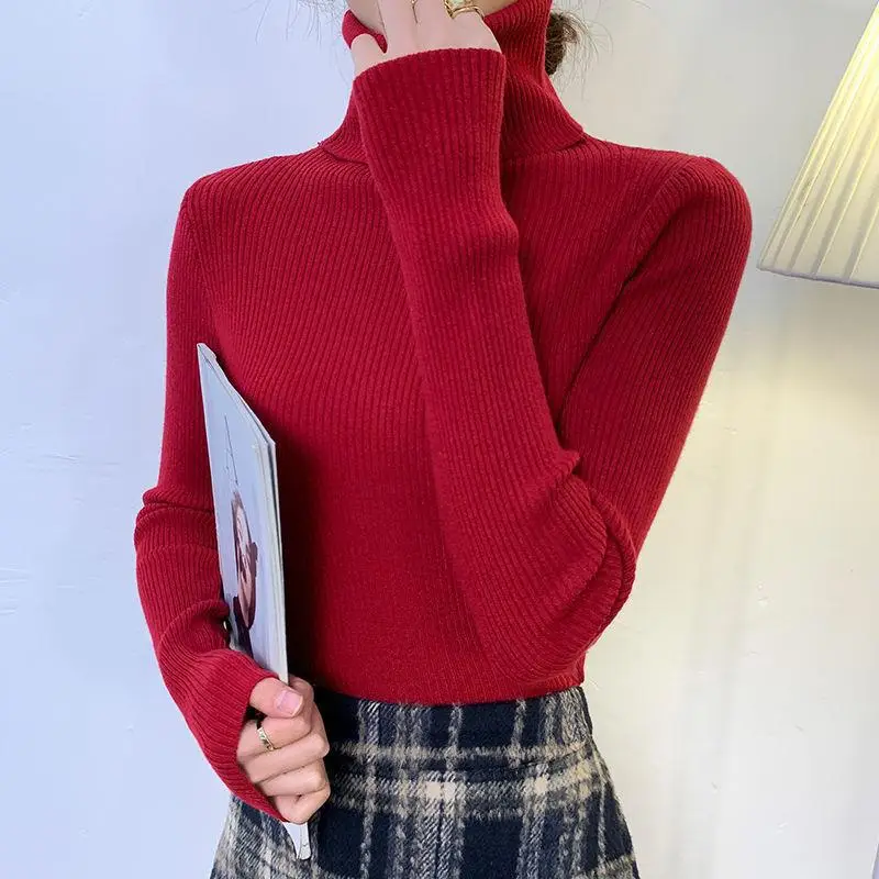 Brown Turtleneck Knitwear Women Large Winter Wear - Image 5