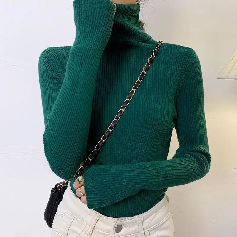 Brown Turtleneck Knitwear Women Large Winter Wear - Image 6
