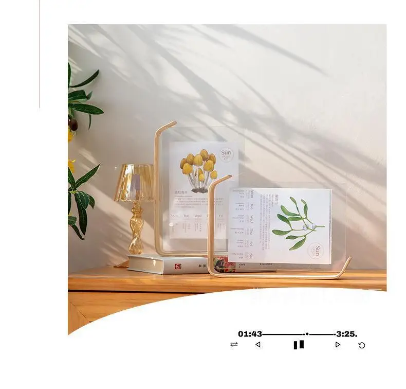 2024 Desk Calendar Casual Desktop Ornament Calendar Creative Double-Sided Acrylic 68inch Plant Specimen Photo Frame Wholesale — feature 8