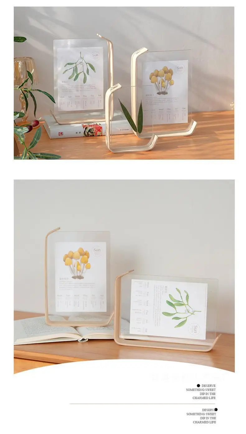 2024 Desk Calendar Casual Desktop Ornament Calendar Creative Double-Sided Acrylic 68inch Plant Specimen Photo Frame Wholesale — feature 9