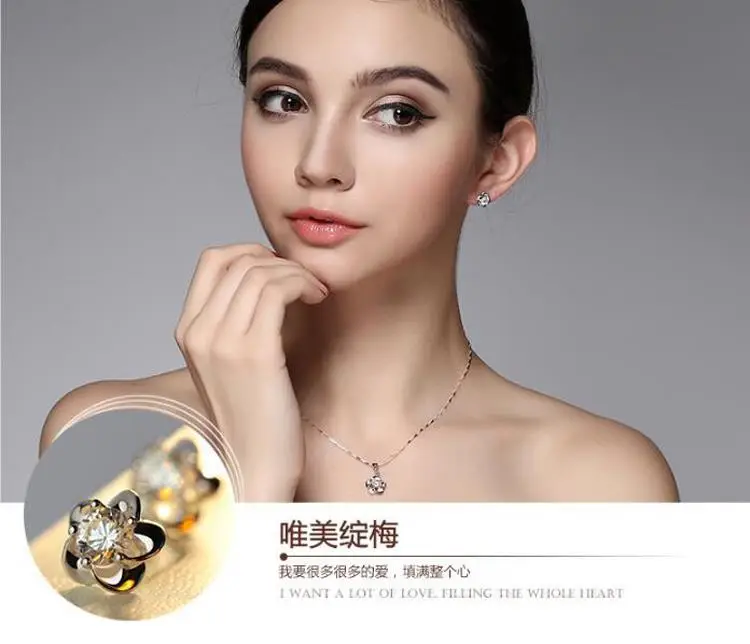S925 Silver Flower Earrings with Zircon Stones — feature 25