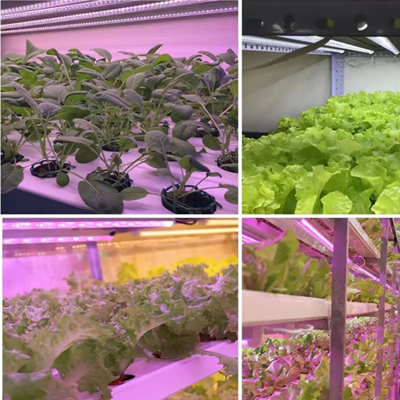 LED Sunlight Plant Light Full Spectrum Indoor Use