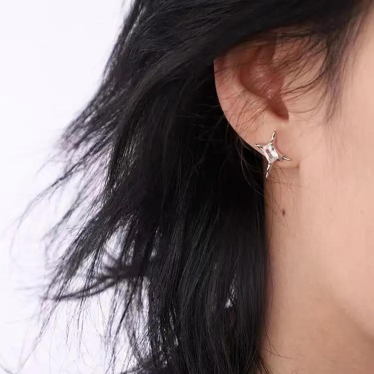 Neutrals Star Zircon Earrings for Men Women - Image 4