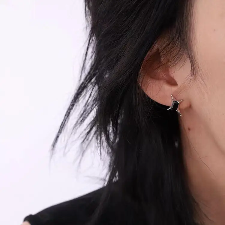 Neutrals Star Zircon Earrings for Men Women - Image 5