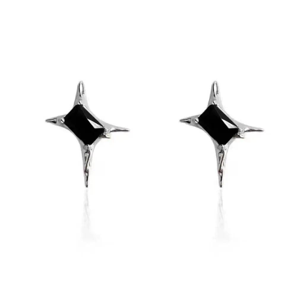 Neutrals Star Zircon Earrings for Men Women - Image 2