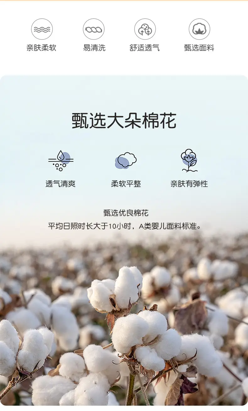 详情_02.jpg