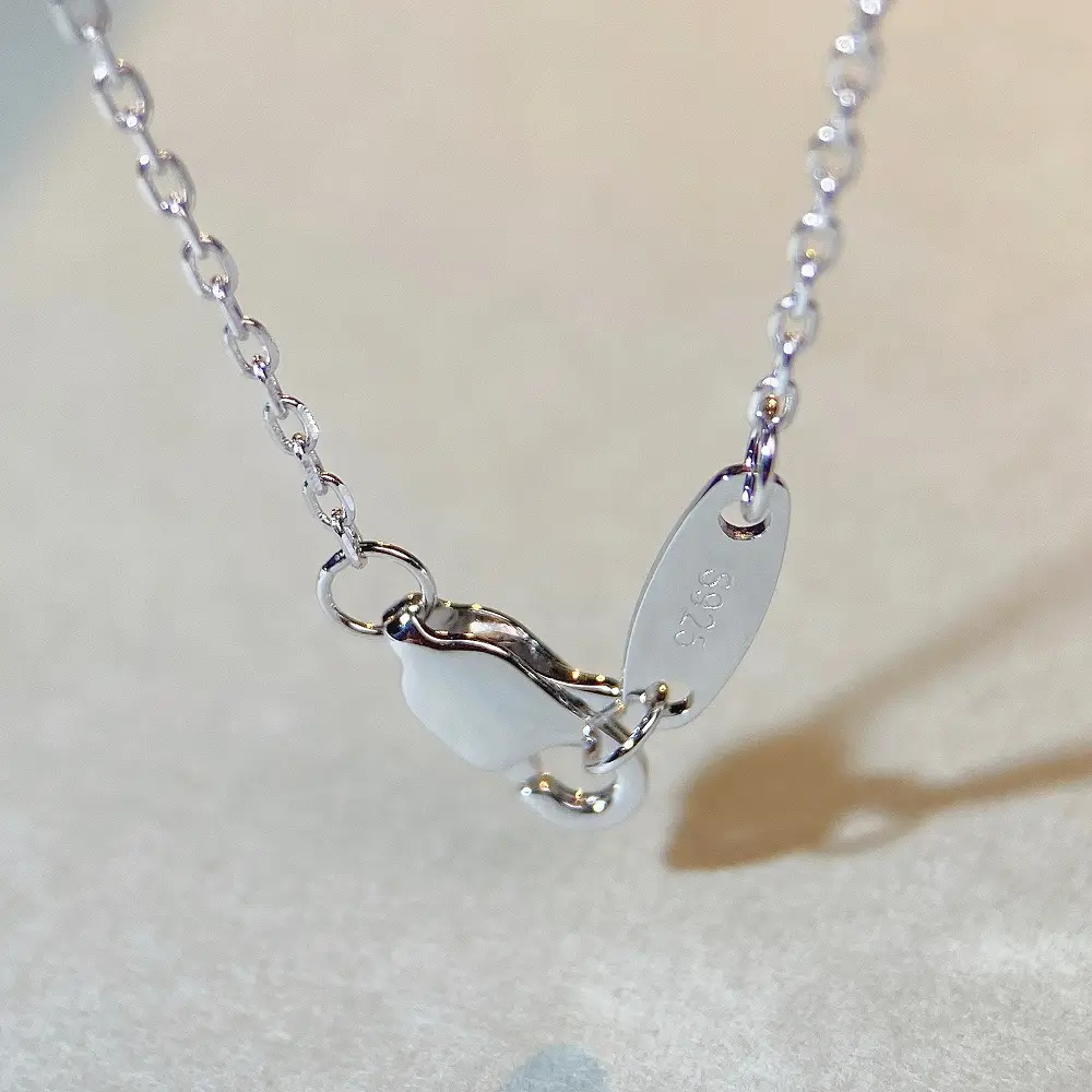S925 Sterling Silver Necklace for Women