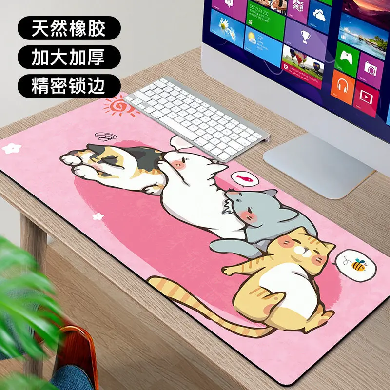 痴迷猫咪