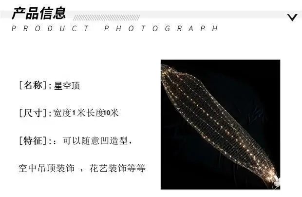 Wedding Starry Sky Mesh Ceiling Decor LED String — feature 8