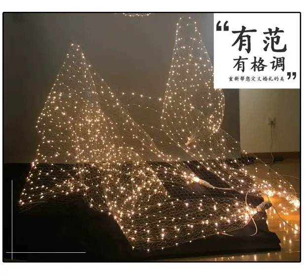 Wedding Starry Sky Mesh Ceiling Decor LED String — feature 9