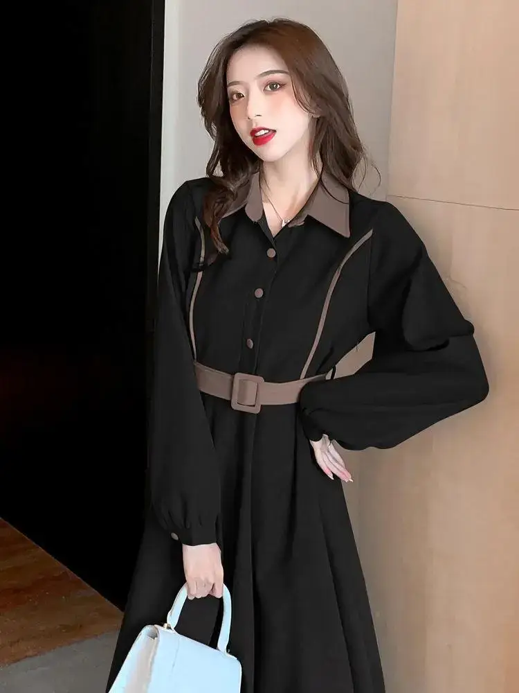 Women's Light Luxury Coat Dress Autumn Winter 2022 — feature 5