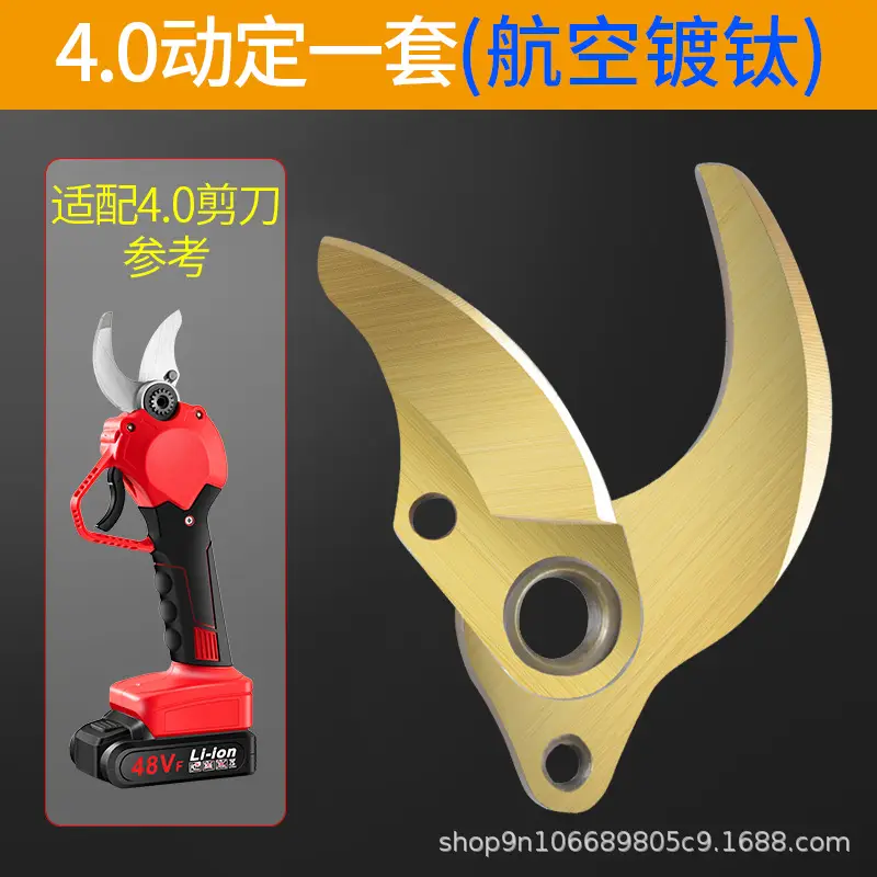 [4.0] Set of movable (titanium-plated gold)