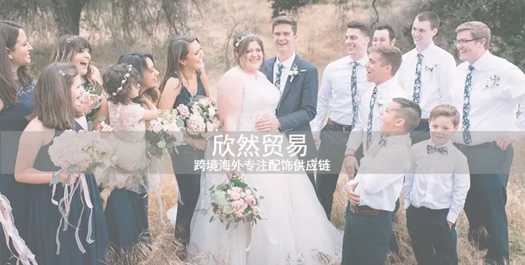 跨境海外 专注男装领带,领结,口袋巾供应链