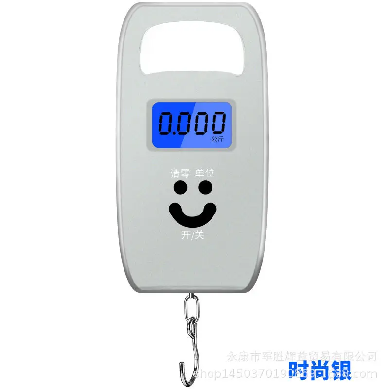 Portable 50kg Electronic Weight Scale with Keychain