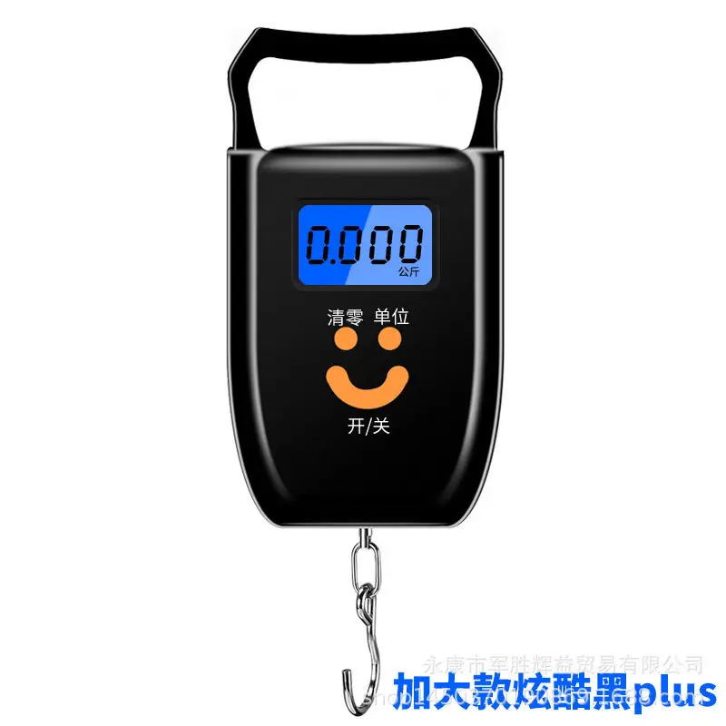 Portable 50kg Electronic Weight Scale with Keychain