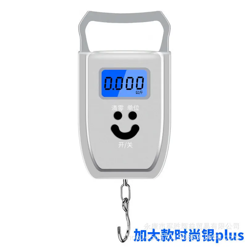 Portable 50kg Electronic Weight Scale with Keychain