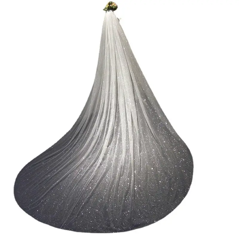Silver Sequin Lace Veil Headdress for Long Wedding Dress - Image 4