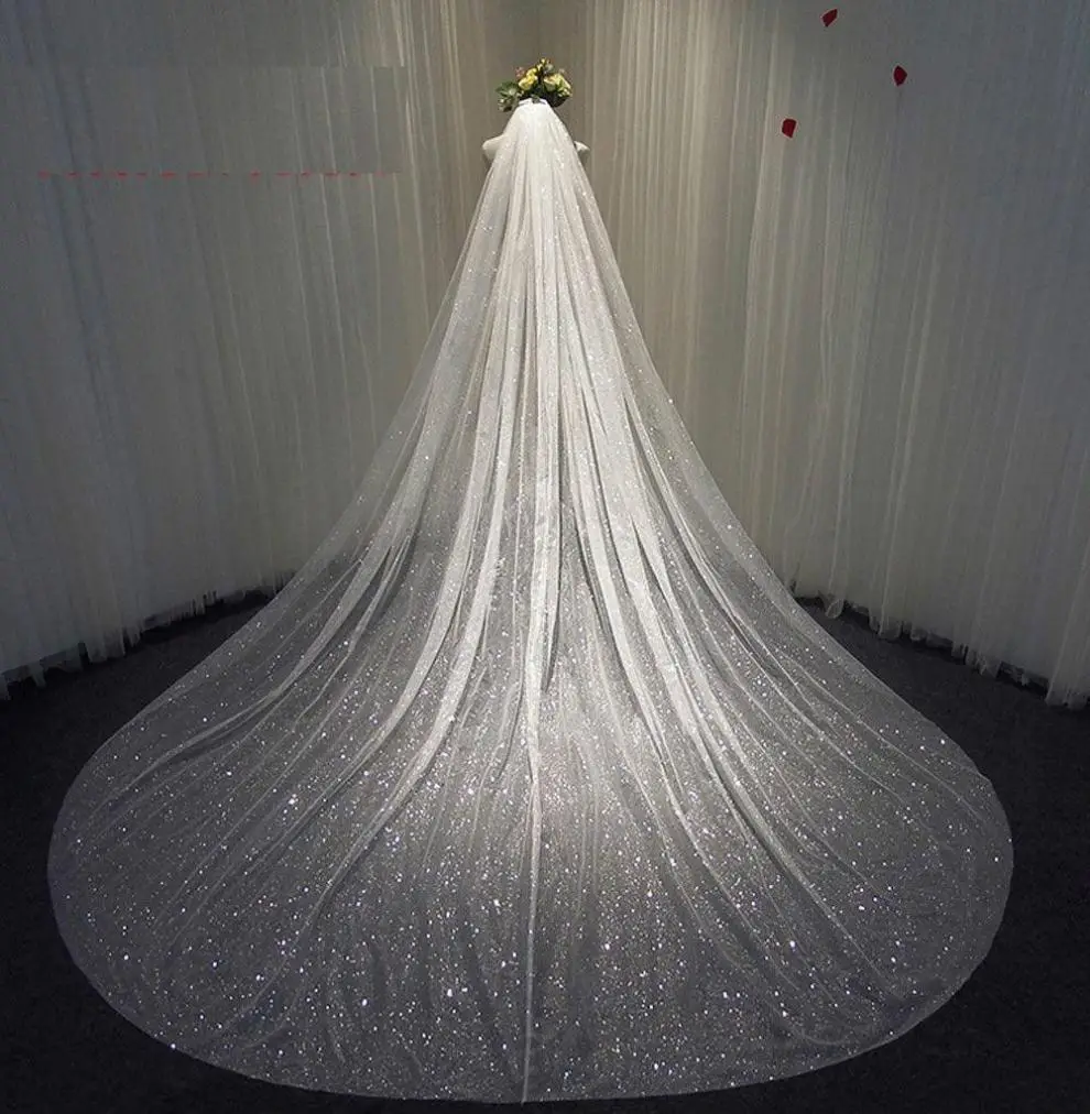 Silver Sequin Lace Veil Headdress for Long Wedding Dress — feature 1