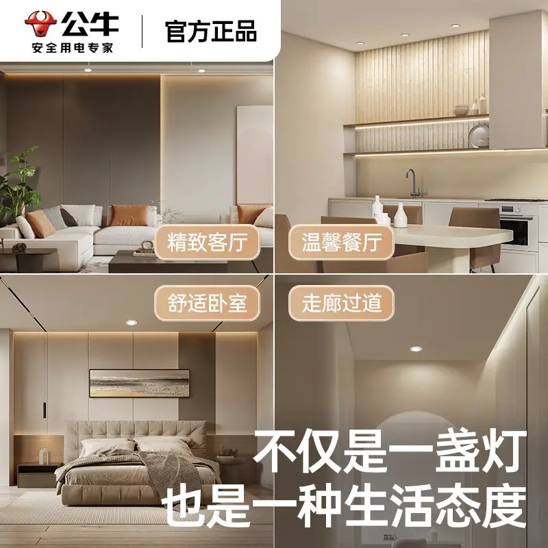 Bull Downlight 75cm Hole LED White 4.5W - Image 38