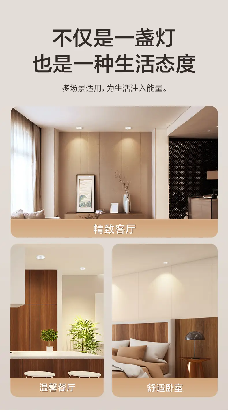 Bull Downlight 75cm Hole LED White 4.5W — feature 10