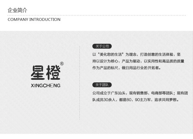 公司简介1-1