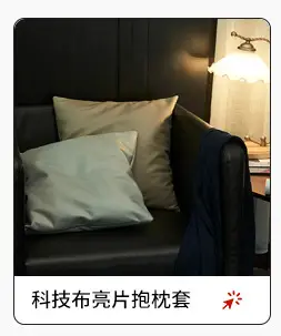 2025 New Christmas Hot Silver Snowflake Pillow Cover — feature 7