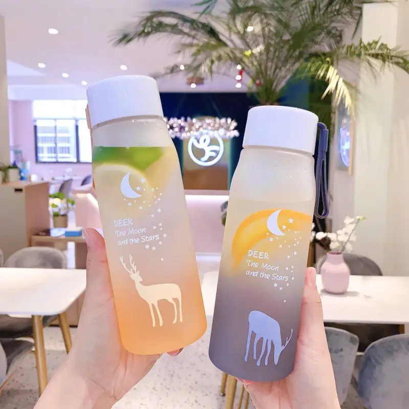 Korean-style Insulated Water Cup for Girls & Students
