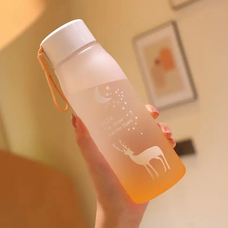 Korean-style Insulated Water Cup for Girls & Students