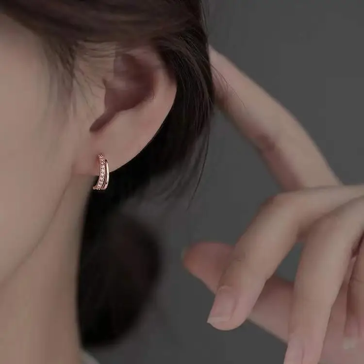 S925 Sterling Silver Zircon Double Layer Earrings