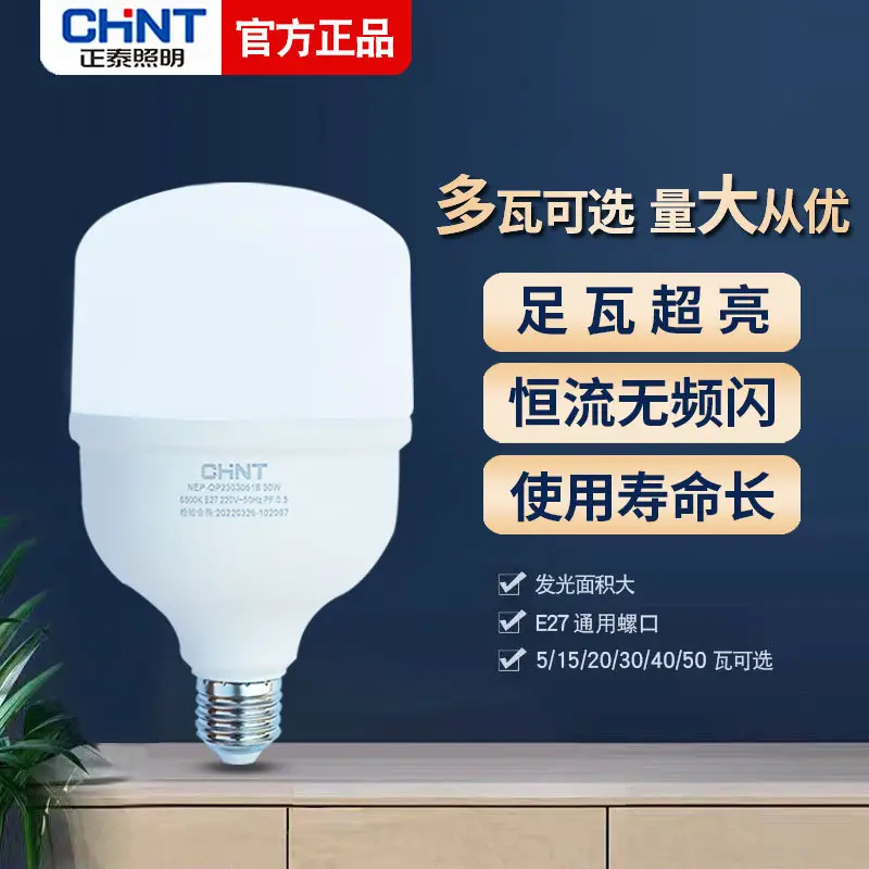 Chint LED Bulb 30W 12V E27 Threaded White Light