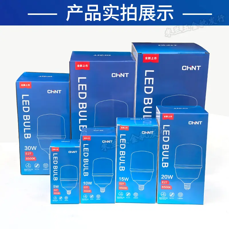 Chint LED Bulb 30W 12V E27 Threaded White Light