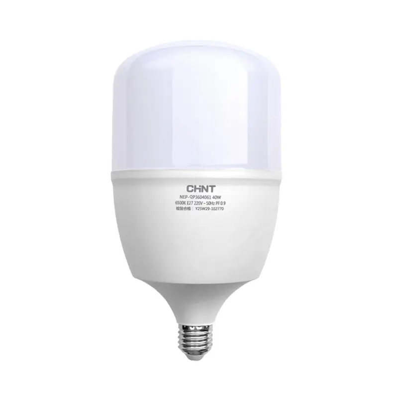 Chint LED Bulb 30W 12V E27 Threaded White Light