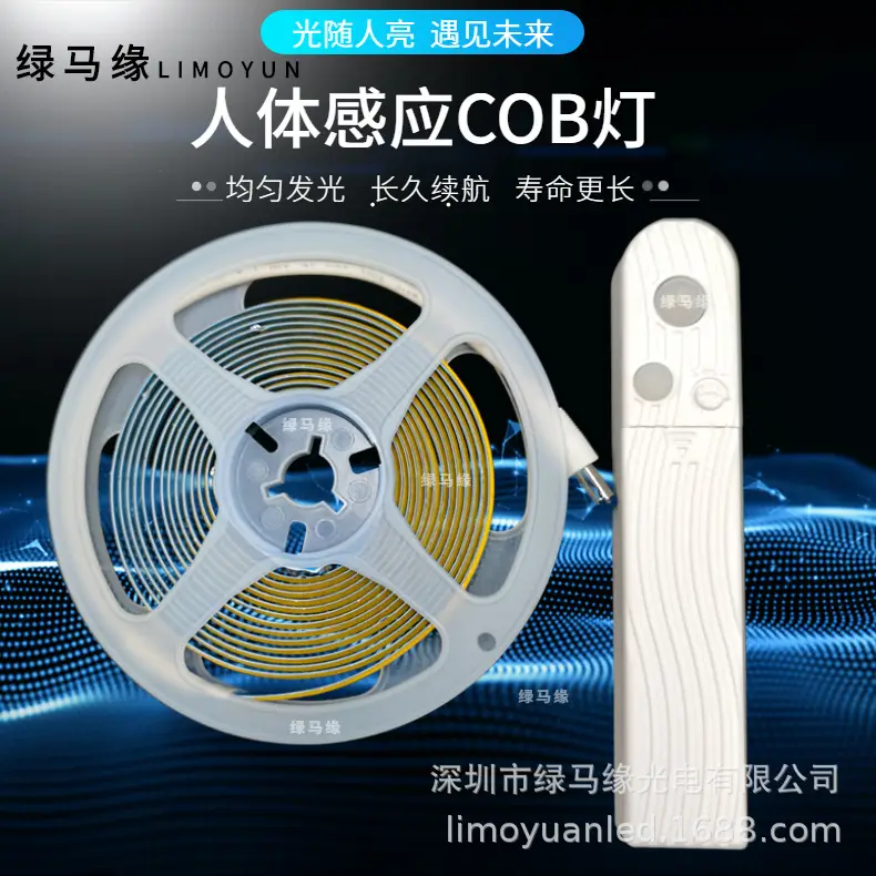 COB感应灯2.jpg