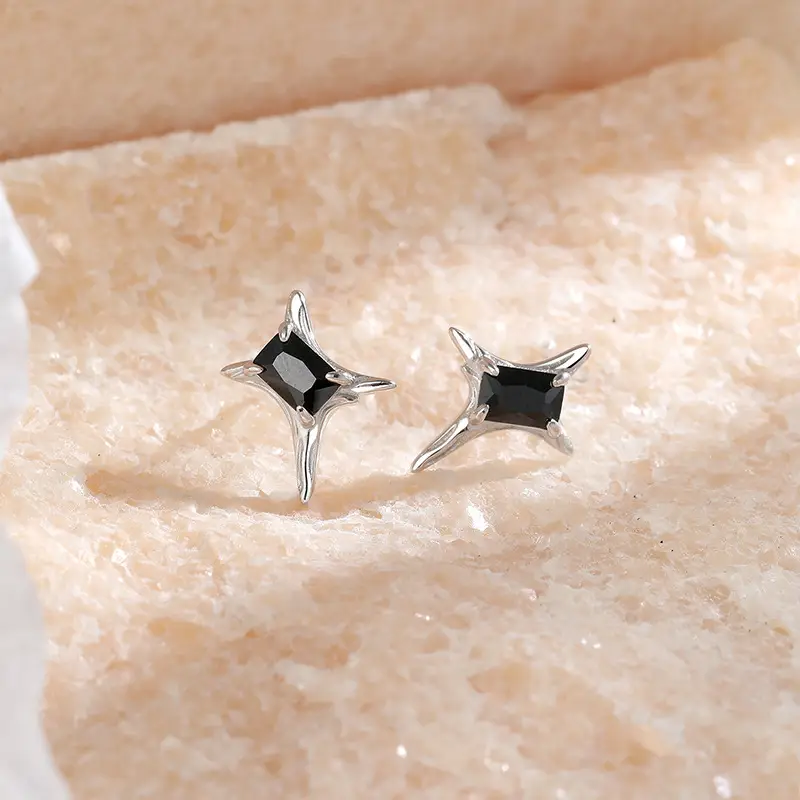 Liloch 4 Mans Star Zircon Earrings Silver Niche - Image 2